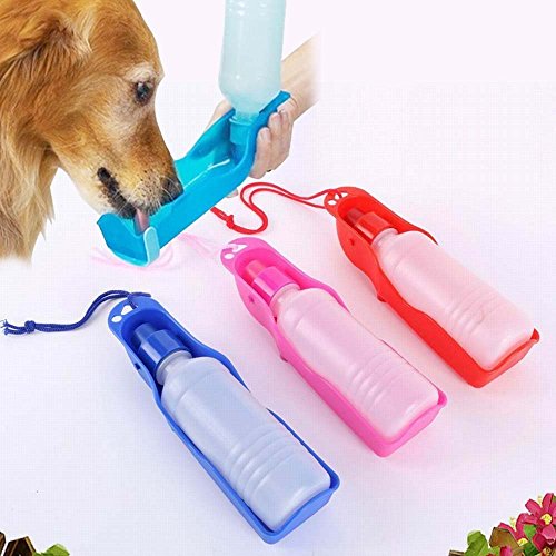 Ducomi Niagara - Botella de agua para perros - Botella portátil de viaje para perro, dispensador de agua para cachorros y animales domésticos - Bebedero de bolsa (500 ml)