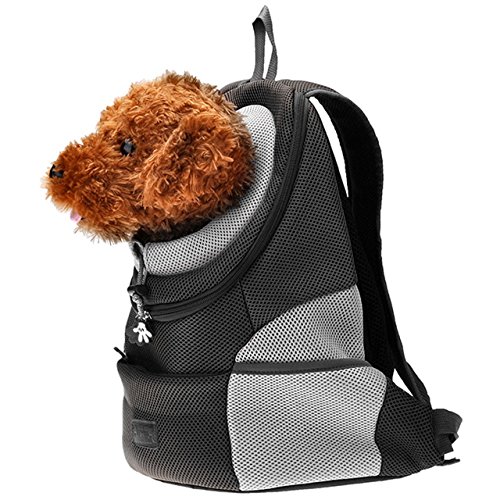 Ducomi® Pets Courmayeur - Mochila para el Transporte de Perros y Cachorros en Tejido Elástico y Transpirable de Malla (L, Negro)