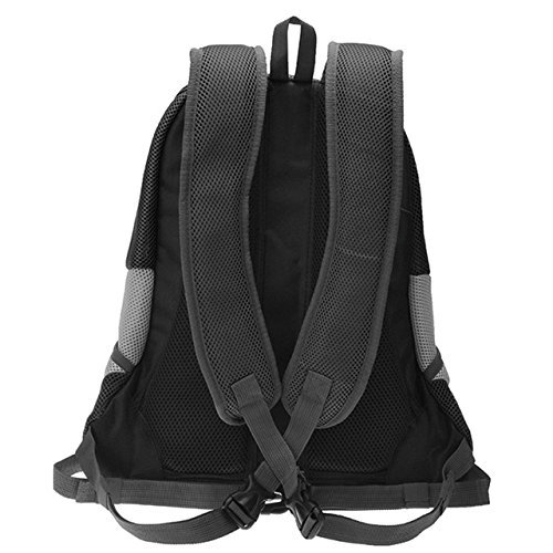 Ducomi® Pets Courmayeur - Mochila para el Transporte de Perros y Cachorros en Tejido Elástico y Transpirable de Malla (L, Negro)