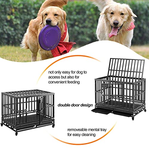 DXIN Jaula para Perros, Jaula Plegable para El Hogar Viaje, Jaula Perros con 2 Puertas Caja Resistente, Jaula para Perros con Bandeja Extraíble, para Adiestramiento Perros