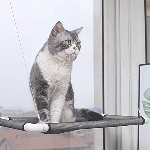 DXQDXQ Hamaca for Gatos Ventana Cama Cat Window Perch Bed Montada for Gato Cama Colgante Ventosas Doble Cubierta Asiento Verano Enfriamiento Hamaca Cama for Gatos Perro (Color : Black)