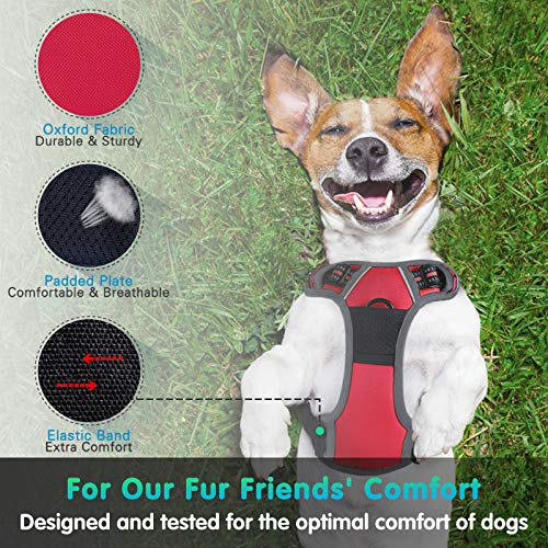 Eagloo Arnes de Perro Antitirones Cómodo Chaleco Ajustable Correa al Cuello y Pecho para Perros Pequeños Material Duradero Transpirable con Cinta Reflectante Adaptarse a Ejercer Externo M/Rojo