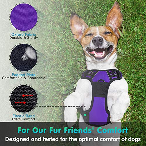 Eagloo Arnes de Perro Antitirones Cómodo Chaleco Ajustable Correa al Cuello y Pecho para Perros Pequeños Material Duradero Transpirable con Cinta Reflectante Adaptarse a Ejercer Externo XL/Púrpura