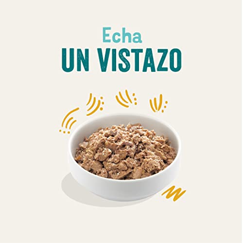 Edgard & Cooper Pienso para Perros Adultos Comida Humeda Organica Sin Cereales 17x100g Pavo Fresco, Naturalmente fácil de digerir, Alimentación Sana Sabrosa y equilibrada