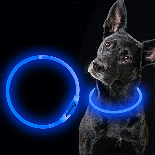 ELANOX Collar de perro LED recargable USB tamaño universal luminoso (azul)