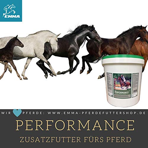 EMMA Alimento para Caballos más Refuerzo vitamínico I Juego económico I Alimento para Caballos B-vitaminas Selenio y Zinc I Vitaminas A,C,E + Soja I Acumulación Muscular para Caballos 6 kg más 30 ml