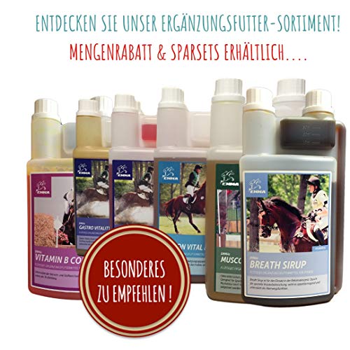 EMMA Alimento para Caballos más Refuerzo vitamínico I Juego económico I Alimento para Caballos B-vitaminas Selenio y Zinc I Vitaminas A,C,E + Soja I Acumulación Muscular para Caballos 6 kg más 30 ml