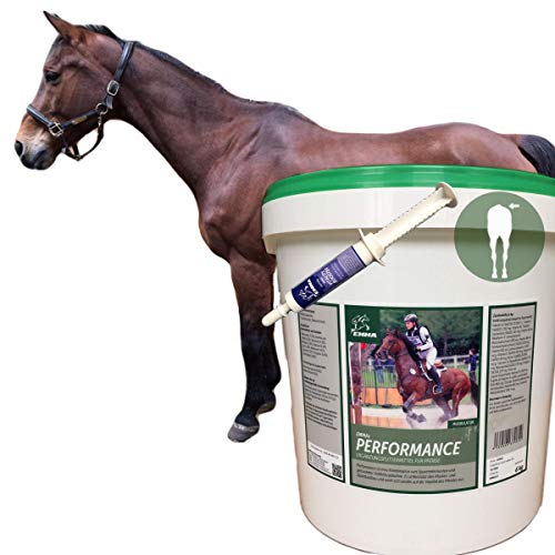 EMMA Alimento para Caballos más Refuerzo vitamínico I Juego económico I Alimento para Caballos B-vitaminas Selenio y Zinc I Vitaminas A,C,E + Soja I Acumulación Muscular para Caballos 6 kg más 30 ml