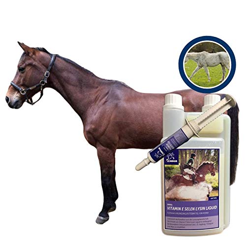 EMMA Vitamina E Selenio Lisina para Caballos I Conjunto económico I Músculo y metabolismo I más aminoácidos Booster 30 ml + 1 L