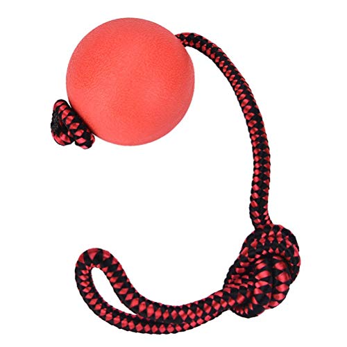 Enzege 3 pcs Pelota con Cuerda, Mascota Productos de Goma, Juguete de adiestramiento para Perro