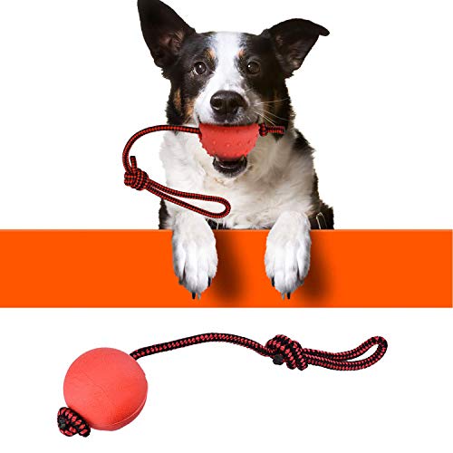 Enzege 3 pcs Pelota con Cuerda, Mascota Productos de Goma, Juguete de adiestramiento para Perro