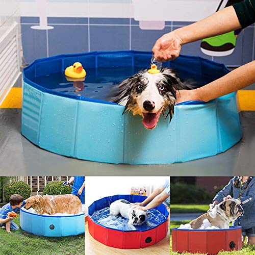 Eogrokerr Piscina plegable de verano para mascotas, baño para mascotas, piscinas portátiles al aire libre, bañera plegable para perros y gatos (azul)