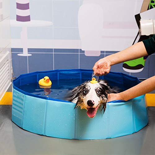 Eogrokerr Piscina plegable de verano para mascotas, baño para mascotas, piscinas portátiles al aire libre, bañera plegable para perros y gatos (azul)