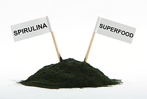 Equine Synergy Espirulina de alta potencia 500 g para caballos y caballos, 100% pura con más de 2000 vitaminas, minerales y nutrientes para mejorar la salud y reforzar el sistema inmunológico