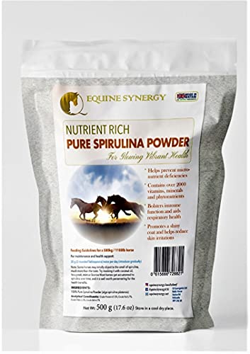 Equine Synergy Espirulina de alta potencia 500 g para caballos y caballos, 100% pura con más de 2000 vitaminas, minerales y nutrientes para mejorar la salud y reforzar el sistema inmunológico