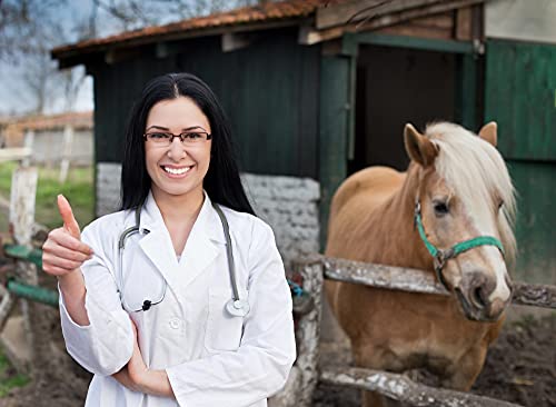 Equine Synergy Espirulina de alta potencia 500 g para caballos y caballos, 100% pura con más de 2000 vitaminas, minerales y nutrientes para mejorar la salud y reforzar el sistema inmunológico