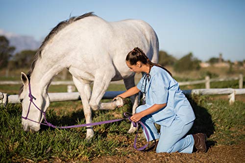 Equine Synergy Mega BIOTIN + Suplemento de Casco Completo Plus Ayuda en la Prevención de Laminitis, con 40 MG de Biotina, Zinc, Cardo Mariano, Aminoácidos y MSM para una Total Salud de la Pezuña