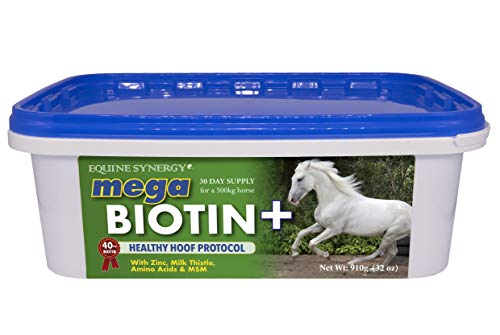 Equine Synergy Mega BIOTIN + Suplemento de Casco Completo Plus Ayuda en la Prevención de Laminitis, con 40 MG de Biotina, Zinc, Cardo Mariano, Aminoácidos y MSM para una Total Salud de la Pezuña