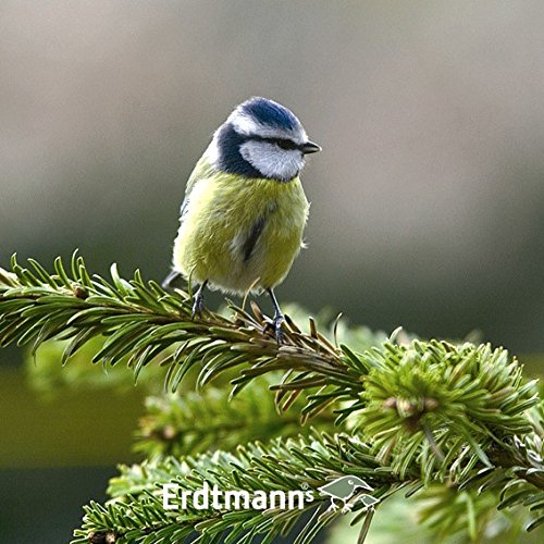 ERDTMANN Semillas de girasol comida Pájaros