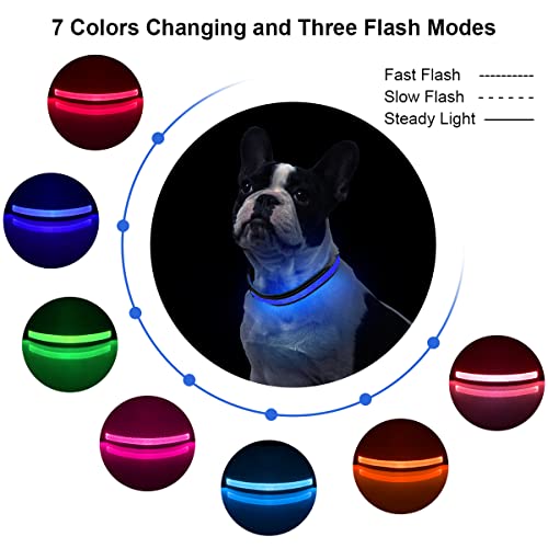 ETACCU Collar de Perro LED, Collar de Perros Ajustable con 3 Modos y 7 Colores, Collar Luminoso Impermeable Recargable por USB, Collares Básicos para Mascotas (Pequeño (30-45cm), Azul)