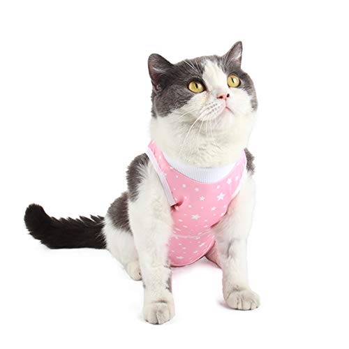 Etdane Cat Onesies Traje de recuperación de cirugía abdominal Protector de heridas postoperatorias Camiseta Pet E-Collar alternativo Chaleco para el hogar