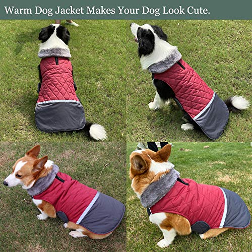 Etechydra Abrigo Perro Impermeable, Invierno Cálido Chaqueta Perro, Reflectante Mascotas Ropa Chaleco para Perros Pequeño, Mediano, Grande, S