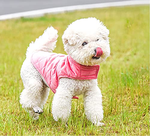 Etechydra - Chaqueta de Abrigo para Perro, Abrigo cálido para otoño e Invierno, Ropa de Perro Suave de Forro Polar, Chaquetas Ligeras y acogedoras para Perros pequeños, Rosa M