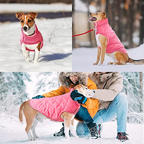 Etechydra - Chaqueta de Abrigo para Perro, Abrigo cálido para otoño e Invierno, Ropa de Perro Suave de Forro Polar, Chaquetas Ligeras y acogedoras para Perros pequeños, Rosa M