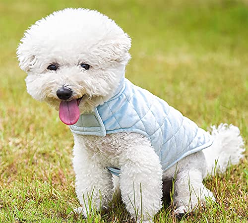 Etechydra - Chaqueta de Abrigo para Perro, Abrigo cálido para otoño e Invierno, Ropa de Perro Suave de Forro Polar, Chaquetas Ligeras y acogedoras para Perros pequeños, Azul M