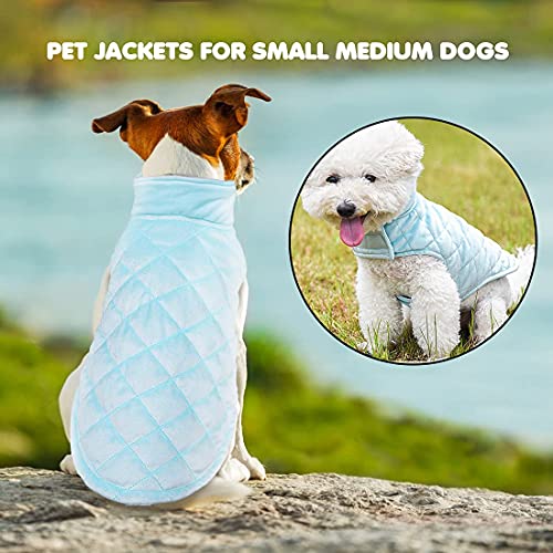 Etechydra - Chaqueta de Abrigo para Perro, Abrigo cálido para otoño e Invierno, Ropa de Perro Suave de Forro Polar, Chaquetas Ligeras y acogedoras para Perros pequeños, Azul M