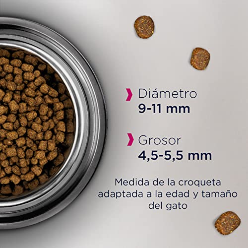 Eukanuba Sterilised- Weight Control, Alimento seco para gatos adultos y gatos de edad avanzada, rica en pollo fresco, 2 kg