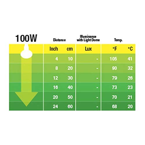 Exo Terra - Lámpara de calor nocturna, 100 W