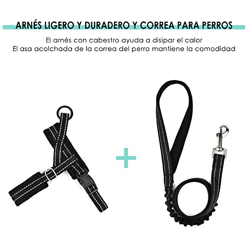 Eyein Arnés para Perro Pequeños con Correa 1.2M, Arnés Ajustable Antitirones Reflectante Cómodo Transpirable, Arneses Chaleco Ligero Duradero para Cachorros Entrenamiento Caminar