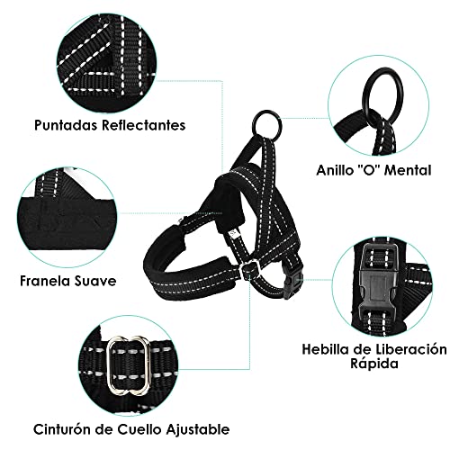 Eyein Arnés para Perro Pequeños con Correa 1.2M, Arnés Ajustable Antitirones Reflectante Cómodo Transpirable, Arneses Chaleco Ligero Duradero para Cachorros Entrenamiento Caminar