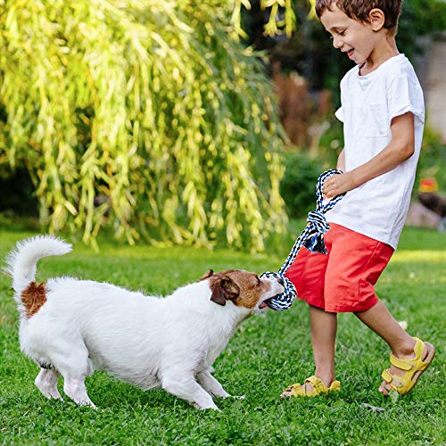 EylbKey Juguetes para Perros, Juguete Perro Pequeños Interactivos, Cuerda de algodón100% Natural para Medianos Juguetes Perros pequeños (6 Piezas, Azul)