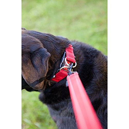 EzyDog - Doble cuello, Rojo, Medium (29 cm - 40 cm)