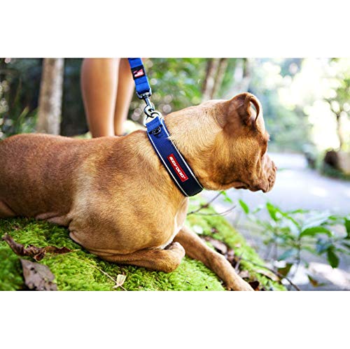 EzyDog Neo Collar de Perro