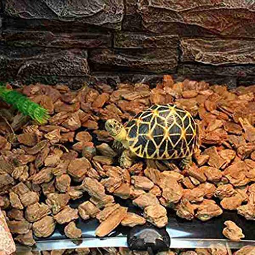 FANGCHENG Dispositivo de calefacción para Mascotas. Terrario Reptiles Heat Mat 7W Escalada calefacción del Animal doméstico de ratón Reptil eléctricos Reptiles Manta Suministros