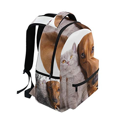 Fantazio Mochila extragrande para gatos y perros