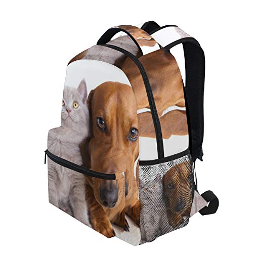 Fantazio Mochila extragrande para gatos y perros