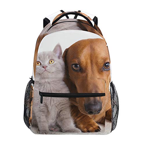 Fantazio Mochila extragrande para gatos y perros