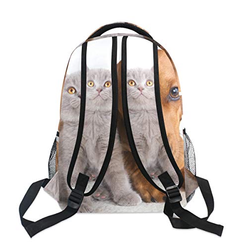 Fantazio Mochila extragrande para gatos y perros