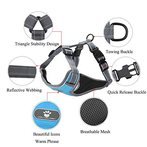 FEimaX Arnés para Perro Ajustable Pet Harness Arnes Reflectante de Malla Suave Transpirable Arnés Chaleco para Cachorros Perros Grandes Medianos Pequeños para Correr, Entrenamiento (XL, Azul)