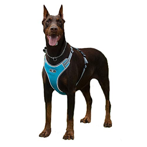 FEimaX Arnés para Perro Ajustable Pet Harness Arnes Reflectante de Malla Suave Transpirable Arnés Chaleco para Cachorros Perros Grandes Medianos Pequeños para Correr, Entrenamiento (XL, Azul)