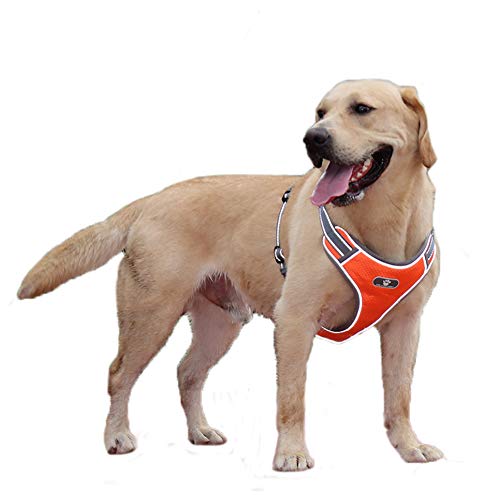 FEimaX Arnés para Perro Ajustable Pet Harness Arnes Reflectante de Malla Suave Transpirable Arnés Chaleco para Cachorros Perros Grandes Medianos Pequeños para Correr, Entrenamiento (L, Naranja)