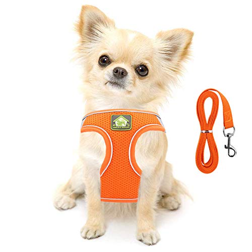 FEimaX Arnés para Perro y Conjunto de Correa, Acolchado con Malla Suave, Chaleco para Cachorros Reflectante y Ajustable para Perros y Gatos Pequeños