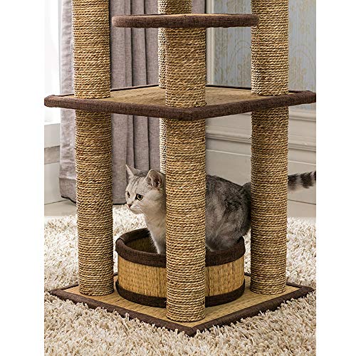 Feixunfan Árbol de Gato Cuatro Estaciones Gato Universal Columpio con Multi-Nivel de Arena for Gatos Mats Gato del Animal doméstico Árbol Gato del Gato Villa de árbol de la camada Árbol Grande del g