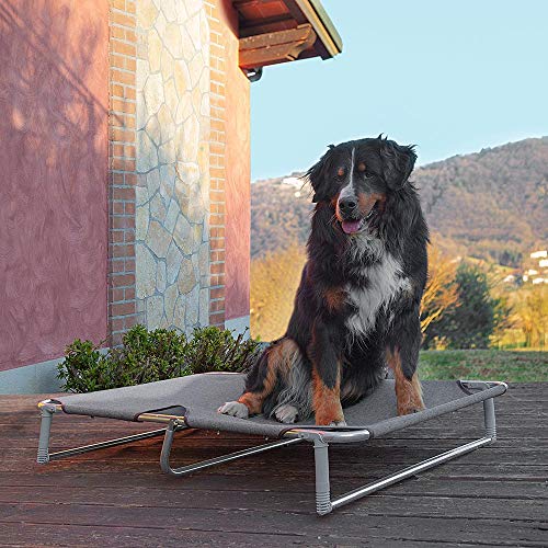 Feplast Cama elevada Plegable para Perros Dream 115, Sólida Estructura de Aluminio con elásticos Reforzados, Tela de Tejido, 119 x 79 x h 7 cm Tórtola, Negro