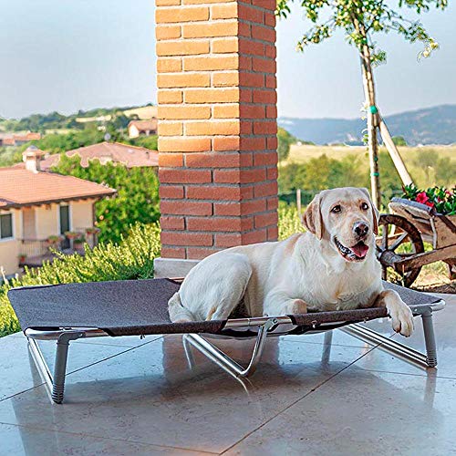 Feplast Cama elevada Plegable para Perros Dream 115, Sólida Estructura de Aluminio con elásticos Reforzados, Tela de Tejido, 119 x 79 x h 7 cm Tórtola, Negro