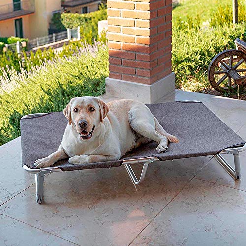 Feplast Cama elevada Plegable para Perros Dream 115, Sólida Estructura de Aluminio con elásticos Reforzados, Tela de Tejido, 119 x 79 x h 7 cm Tórtola, Negro